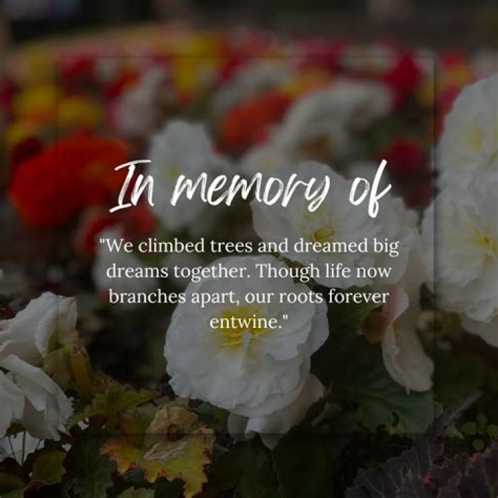 Ava Wood Obit: Remembering a Life Full of Promise