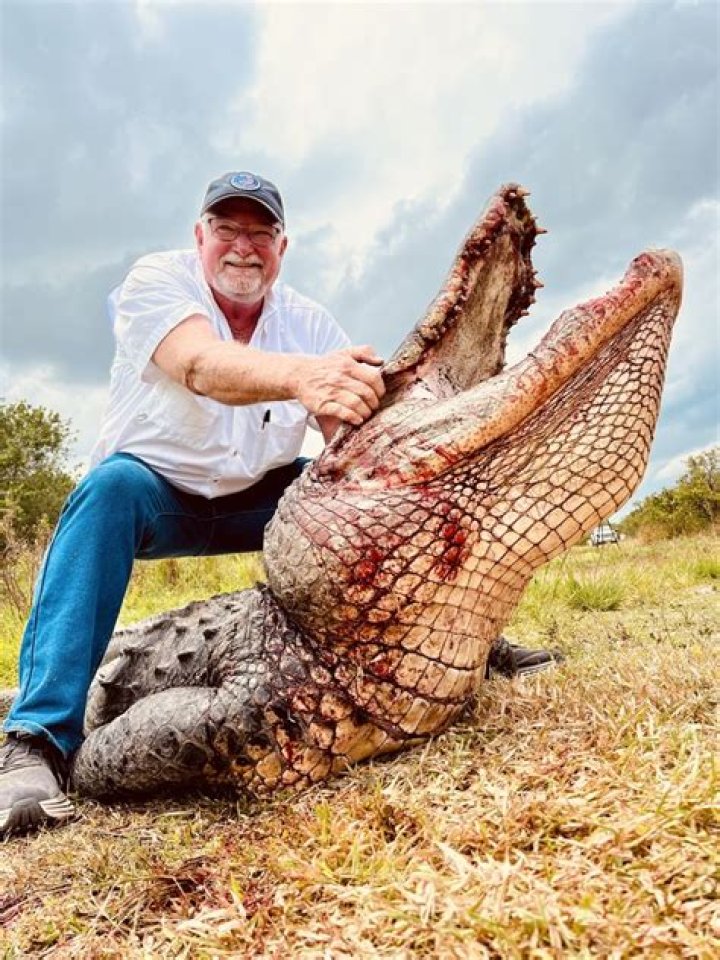 Exploring the Life and Legacy of Glenn Guist: A Renowned American Alligator Hunter