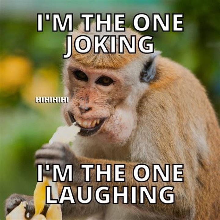 Funny Meme Pictures: The Ultimate Collection for Laughter