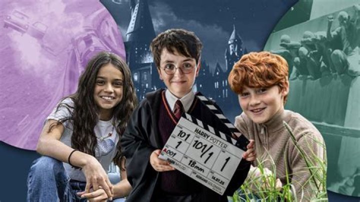 Harry Potter Now: A Glimpse into 2024 and Beyond