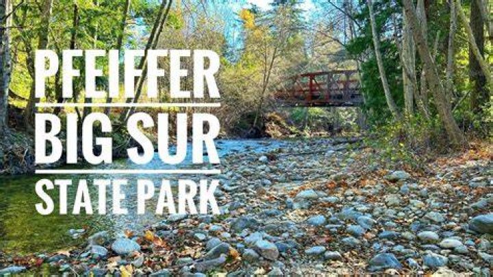 Massey Big Star State Park: A Hidden Gem for Nature Enthusiasts