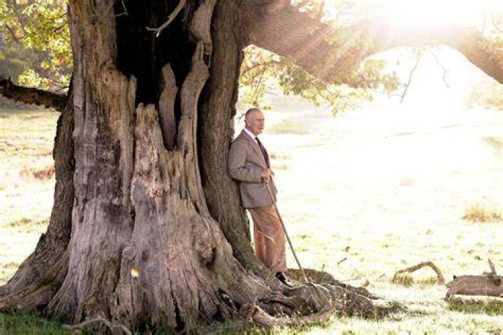 Michael Barrett: A Journey Through Cinematography