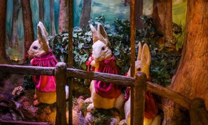 The Enchanting World of D&D Elves: A Comprehensive Guide
