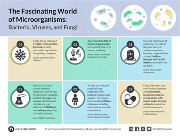 The Fascinating World of Fans: Understanding Their Impact and Culture