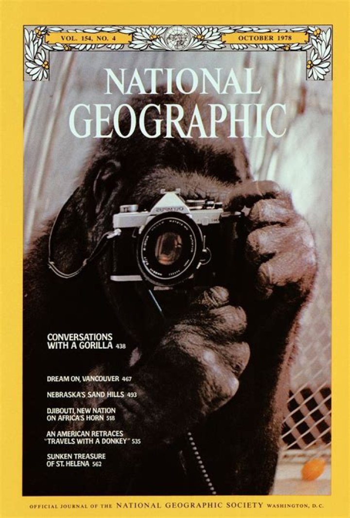 The Most Valuable National Geographic Magazines: A Collector's Guide