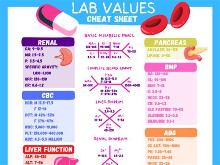 Understanding IDR Labs: A Comprehensive Guide