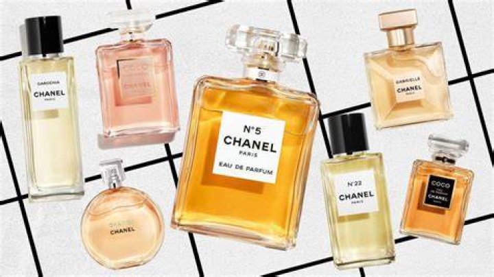 Understanding YSL Woody: A Deep Dive into the Iconic Fragrance