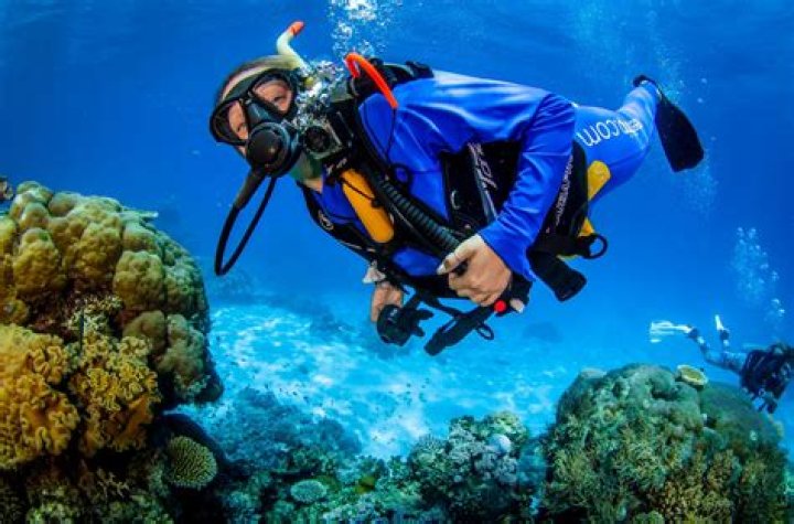 Unveiling the Scuba Steph Leaks: What You Need to Know