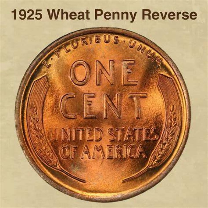 Unveiling the Value of a 1925 Wheat Penny Today